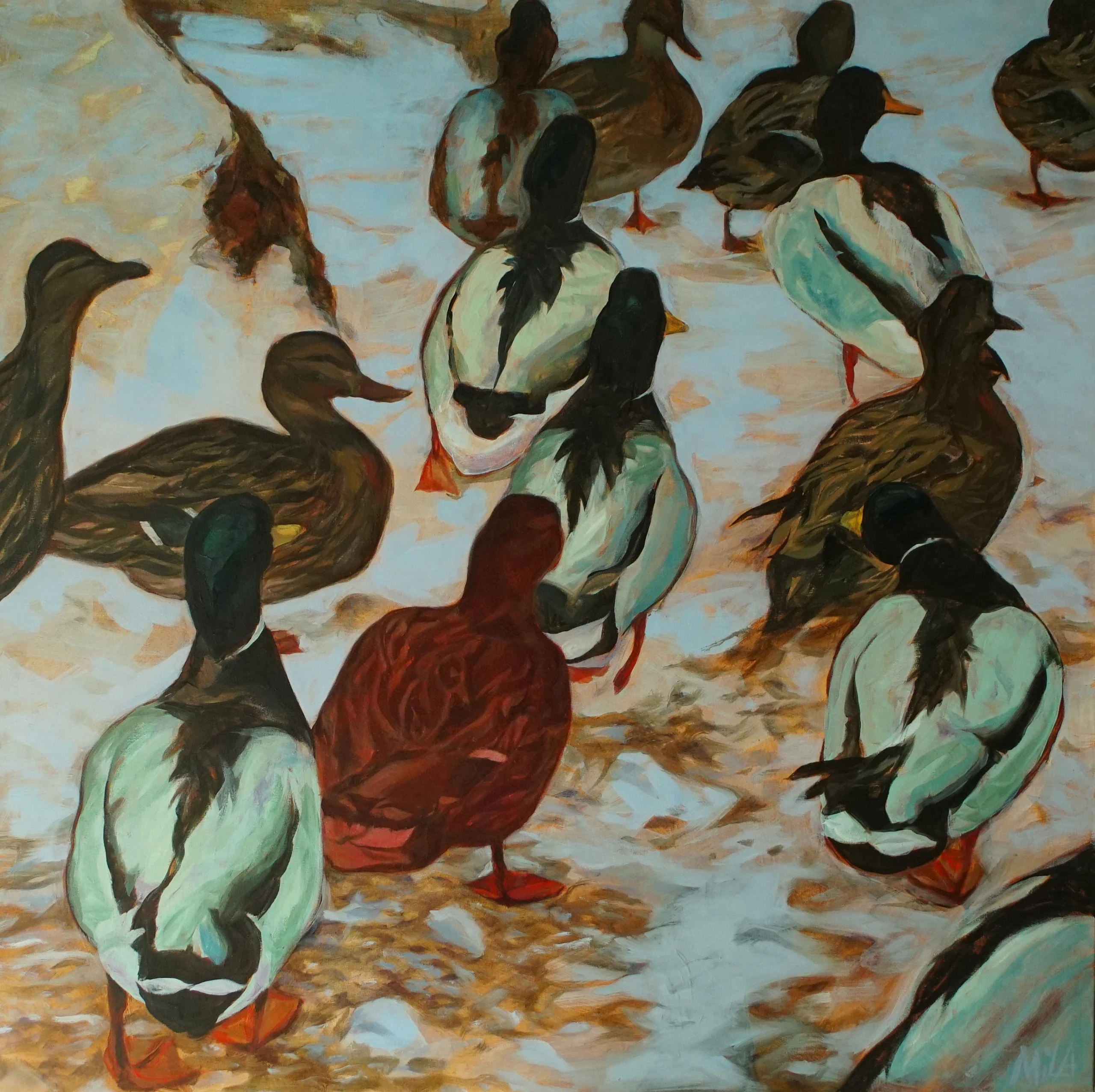 Föri ducks